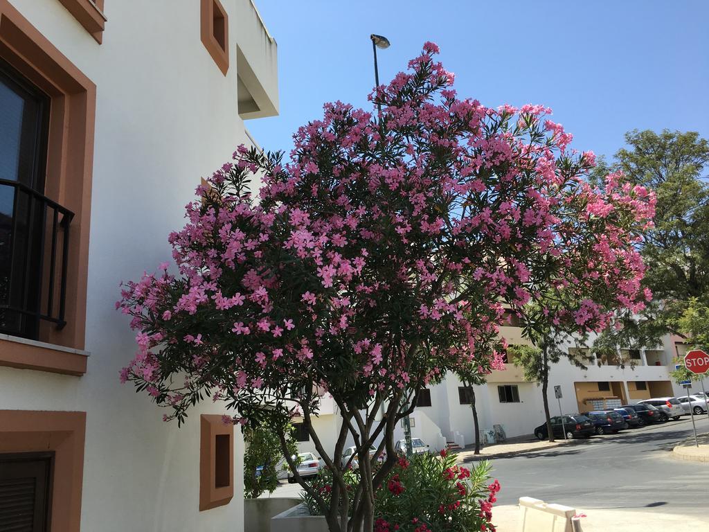 Lovely Beach Apartment Bellavista Albufeira Esterno foto